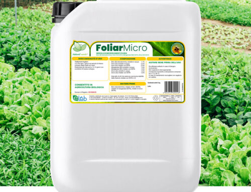 FoliarMicro