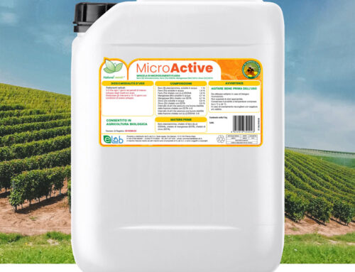 MicroActive